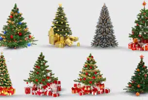 holidays, decor, christmas Decoration, christmas Lights, spruce, petersbourg, christmas, holiday, pine Family, gift, fotolia, fir, evergreen, conifer, christmas Tree, christmas Stockings, christmas Ornament, tree, png,sticker png,free download,christmas tree christmas tree,christmas tree png,christmas tree bow,pentagram,christmas balls,christmas,bead,red,golden,green,holiday,celebrate,happy holidays merry christmas and happy new year,christmas 2023, xmas tree png,christmas tree transparent, christmas tree png hd,christmas tree png images,christmas tree png free download, Beautiful christmas tree png free download, Simple christmas tree png free download, Christmas tree png free download transparent, christmas tree png clipart,png,