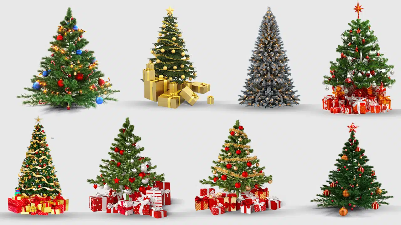 holidays, decor, christmas Decoration, christmas Lights, spruce, petersbourg, christmas, holiday, pine Family, gift, fotolia, fir, evergreen, conifer, christmas Tree, christmas Stockings, christmas Ornament, tree, png,sticker png,free download,christmas tree christmas tree,christmas tree png,christmas tree bow,pentagram,christmas balls,christmas,bead,red,golden,green,holiday,celebrate,happy holidays merry christmas and happy new year,christmas 2023, xmas tree png,christmas tree transparent, christmas tree png hd,christmas tree png images,christmas tree png free download, Beautiful christmas tree png free download, Simple christmas tree png free download, Christmas tree png free download transparent, christmas tree png clipart,png,