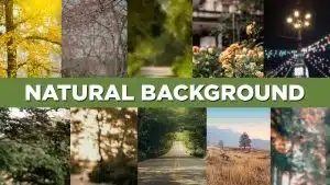 Best Natural Background | Free Download Natural Blur Background 2023