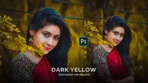 Lightroom Dark Yellow Preset | Lightroom Dark Presets free download