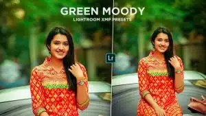 Lightroom Green Moody Presets Free Download |  Lightroom Moody Tone Preset